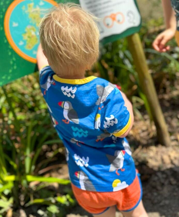 Pyjama deux pièces manches courtes en coton bio motifs « oiseaux macareux » – Image 4